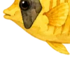 отдых на море