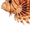 отдых на море