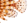 отдых на море