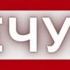 for you by