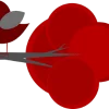 for you by