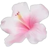 🌸