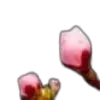🌸