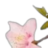 🌸