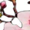🌸