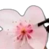 🌸