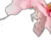🌸