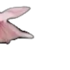 🌸