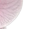 🌸