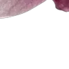 🌸