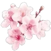 🌸
