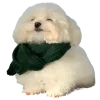 Сабакии от