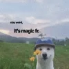 Сабакии от