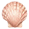 Море, море