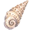 Море, море