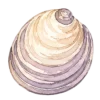 Море, море
