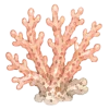 Море, море