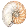 Море, море