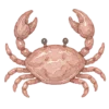 Море, море