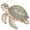 Море, море