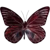 dark red → emoji