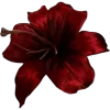 dark red →