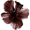 dark red →