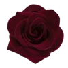 dark red →