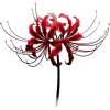 dark red →