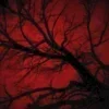 dark red →