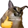 - ::