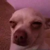 - ::