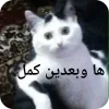 - ::