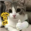 - ::