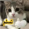 - ::