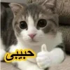 - ::