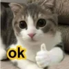 - ::