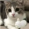 - ::