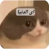 - ::