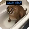 - ::