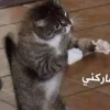 - ::