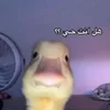 - ::