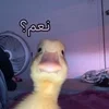 - ::