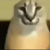 - ::