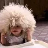 🕸️vvilkka🕸️ ::