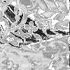ᴛᴇᴀʀs ᴏꜰ ᴅʀᴇᴀᴍs