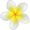 / ابوفهد emoji