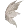 / ابوفهد
