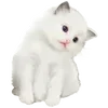 / ابوفهد