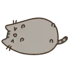 vlove ➜
